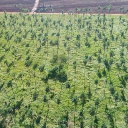Produtores rurais paulistas podem gerar renda por meio da regularização ambiental